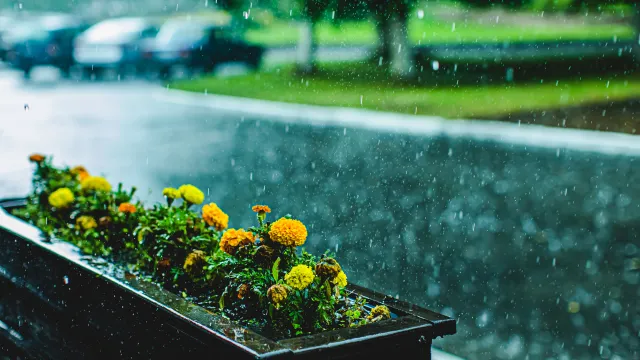 Вижте какво ще бъде времето днес и до края на празниците